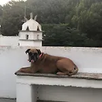 Tina & Miltos