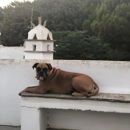 Tina & Miltos
